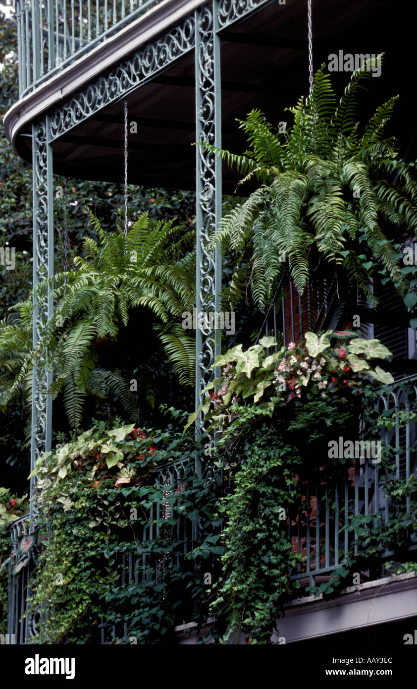 La Nouvelle Orléans balcon et 1 jardinières de fleurs suspendus Banque D'Images