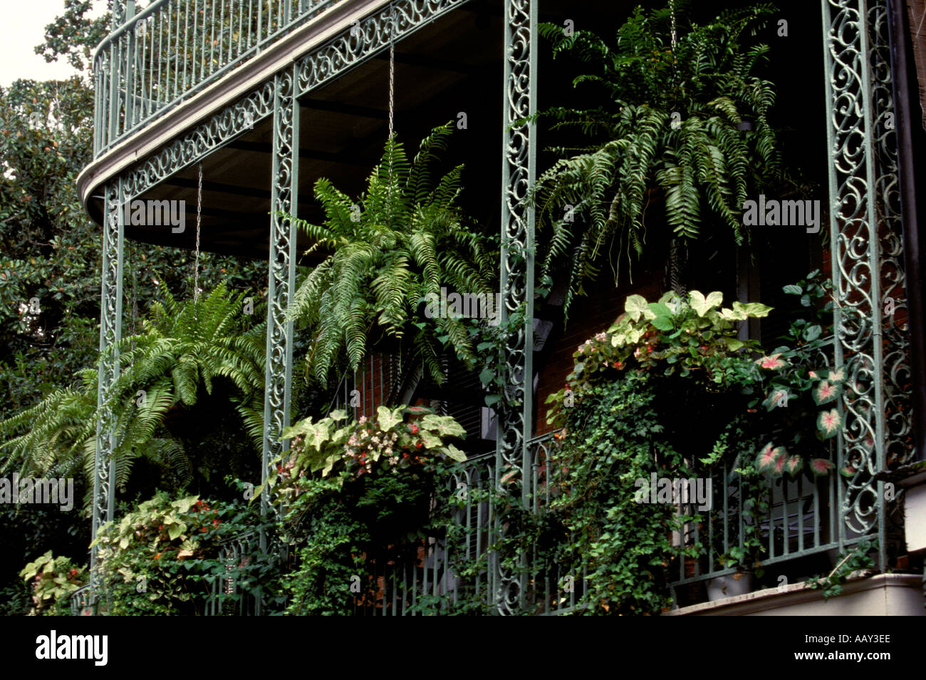 La Nouvelle Orléans balcon et 2 jardinières de fleurs suspendus Banque D'Images