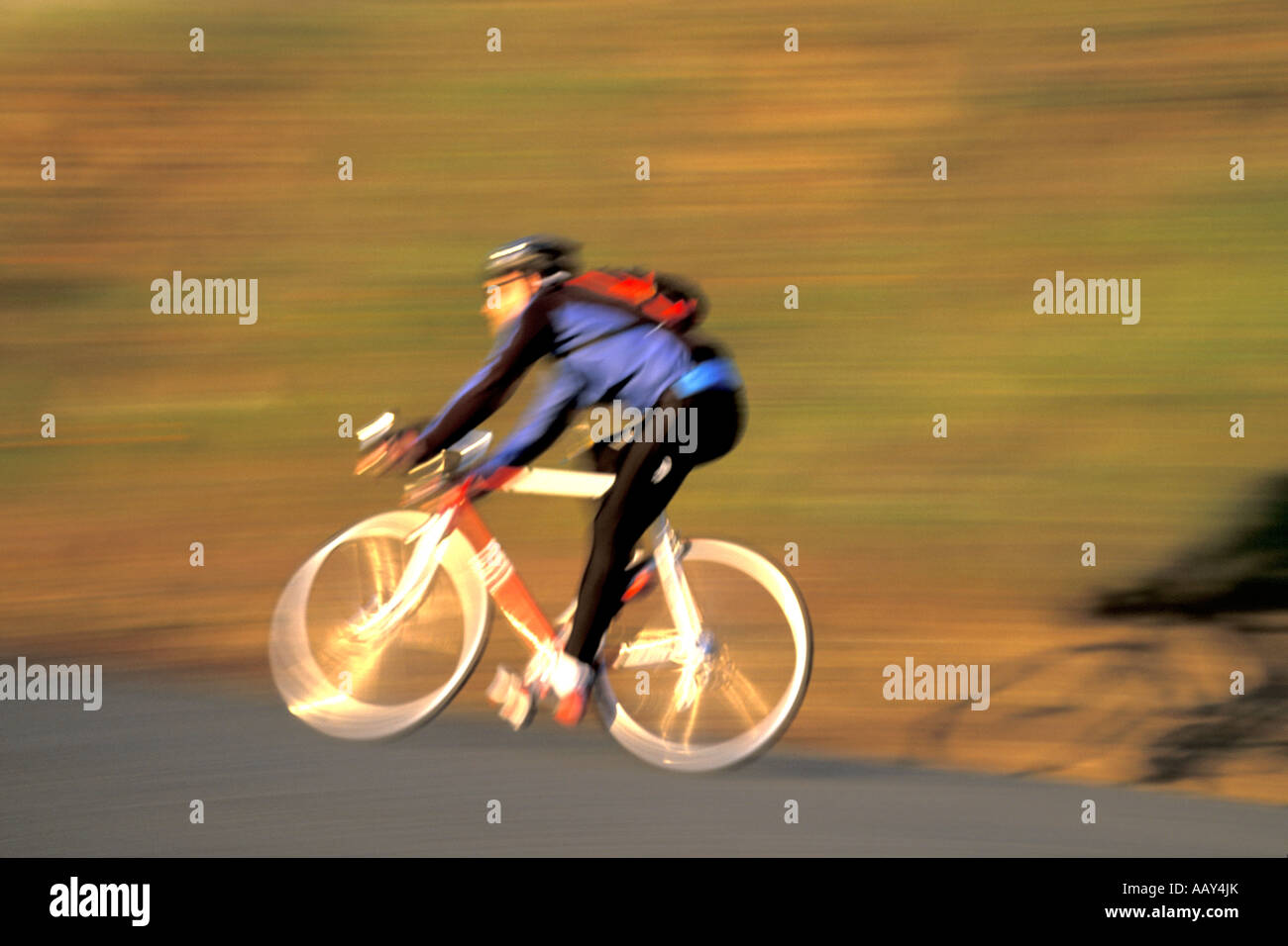 Mountain biker riding bike sports de descente rapide de vie actif horizontal en bonne santé Banque D'Images