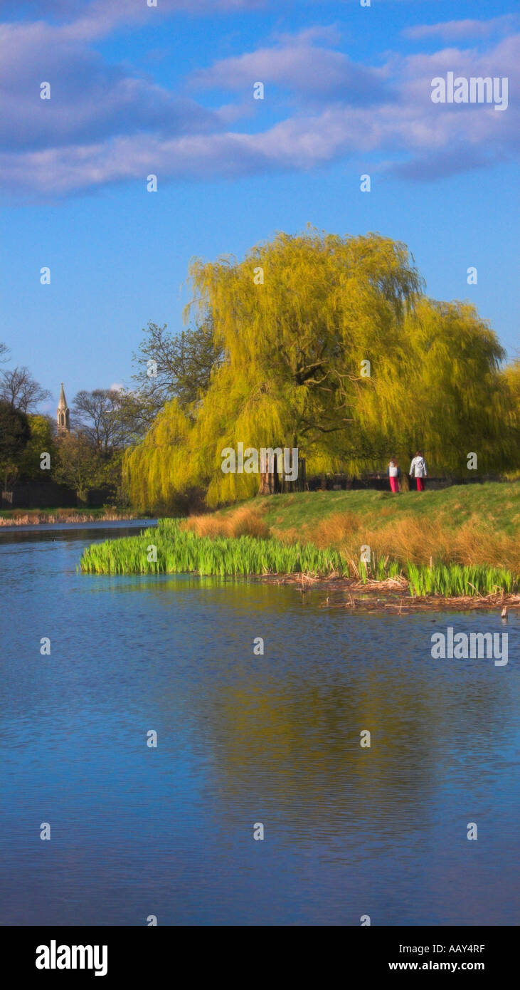 Europe Royaume-Uni Angleterre Londres Hampton Court Home Park Lake Banque D'Images