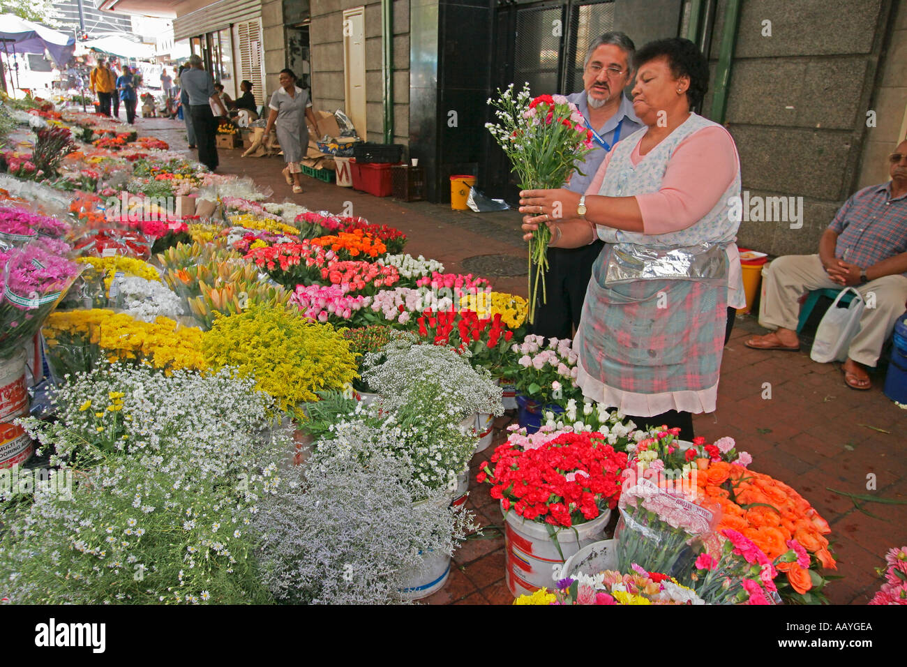 Afrique du Sud Cape town marché aux fleurs Banque D'Images