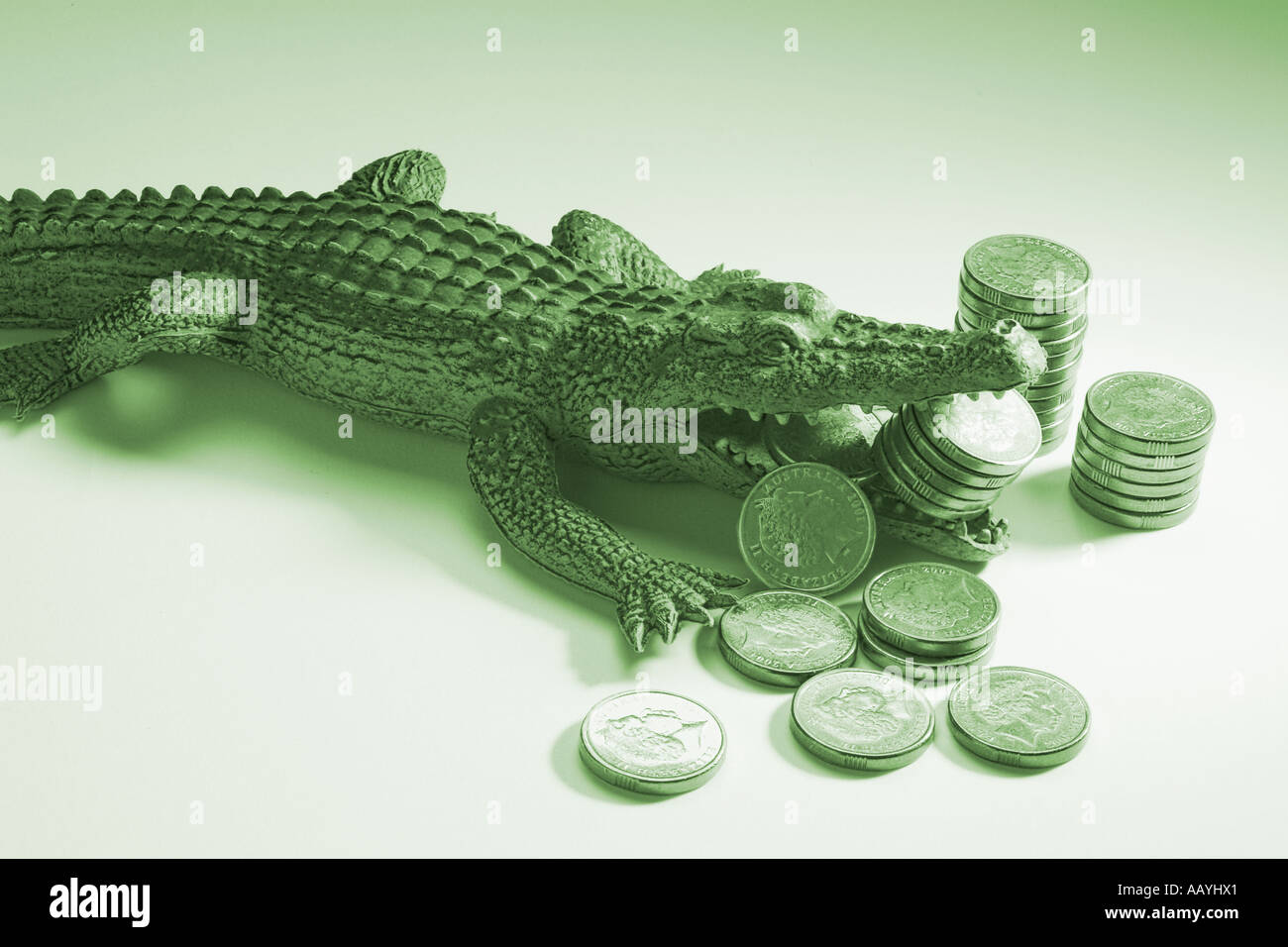 Toy Crocodile dévorant des crédits Banque D'Images