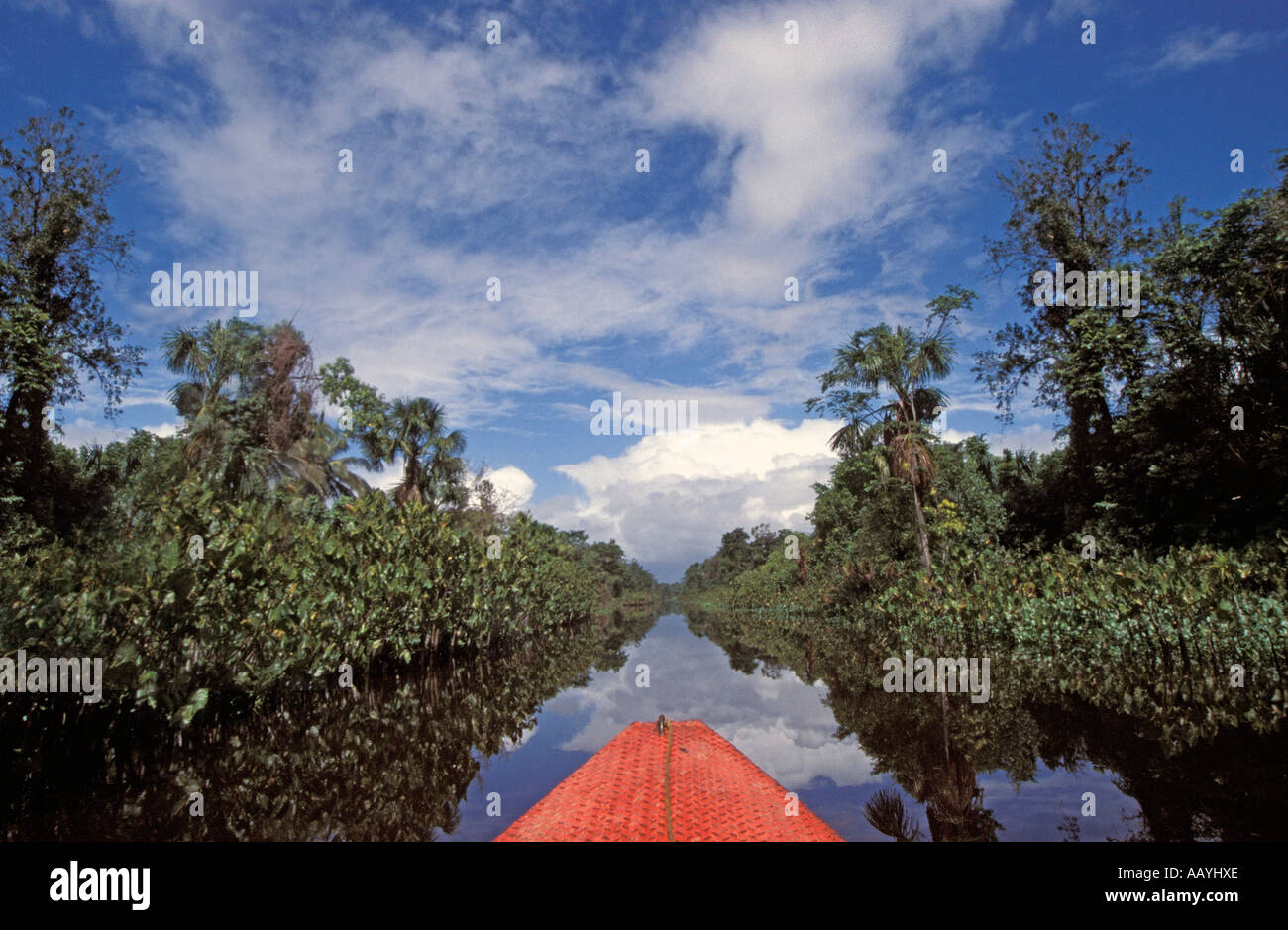 Bateau sur le fleuve Orénoque, Amazonas, au Venezuela. Banque D'Images