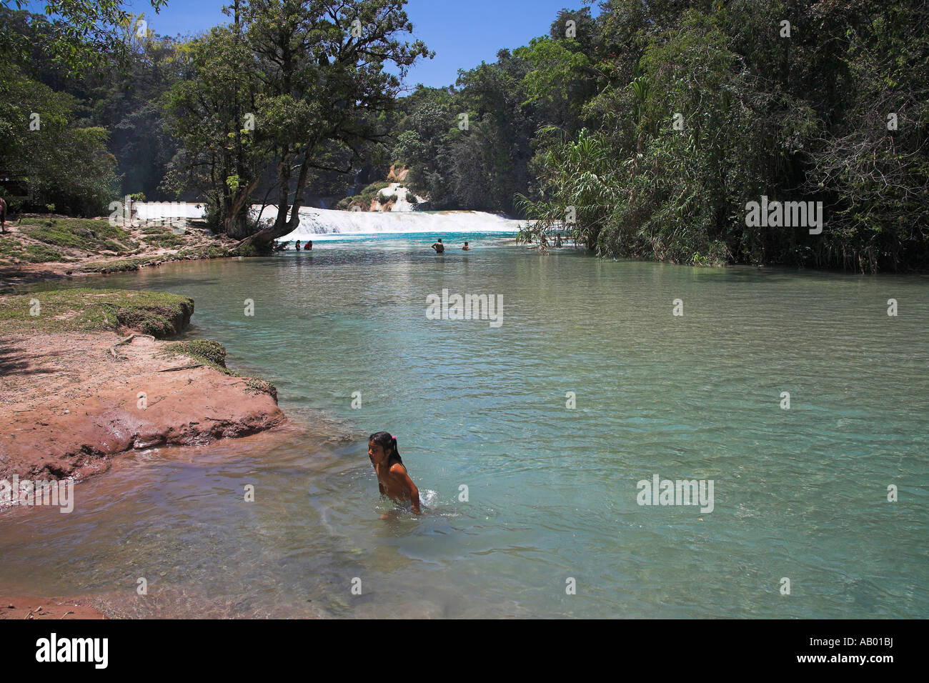 Cascada Agua Azul Agua Azul, Cascade, parc national d'Agua Azul, près de Palenque, Chiapas, Mexique Banque D'Images