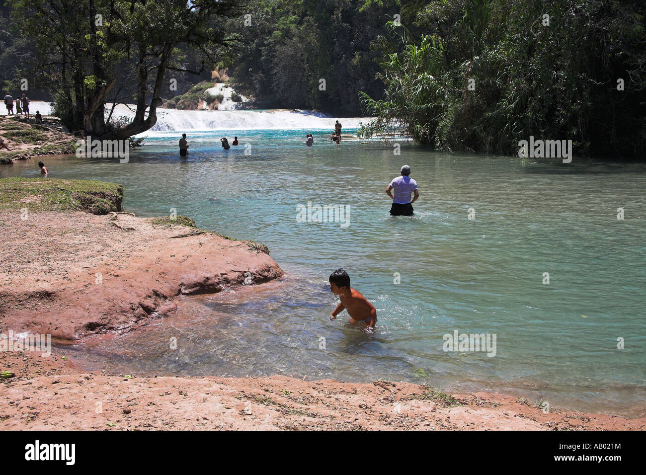 Cascada Agua Azul Agua Azul, Cascade, parc national d'Agua Azul, près de Palenque, Chiapas, Mexique Banque D'Images