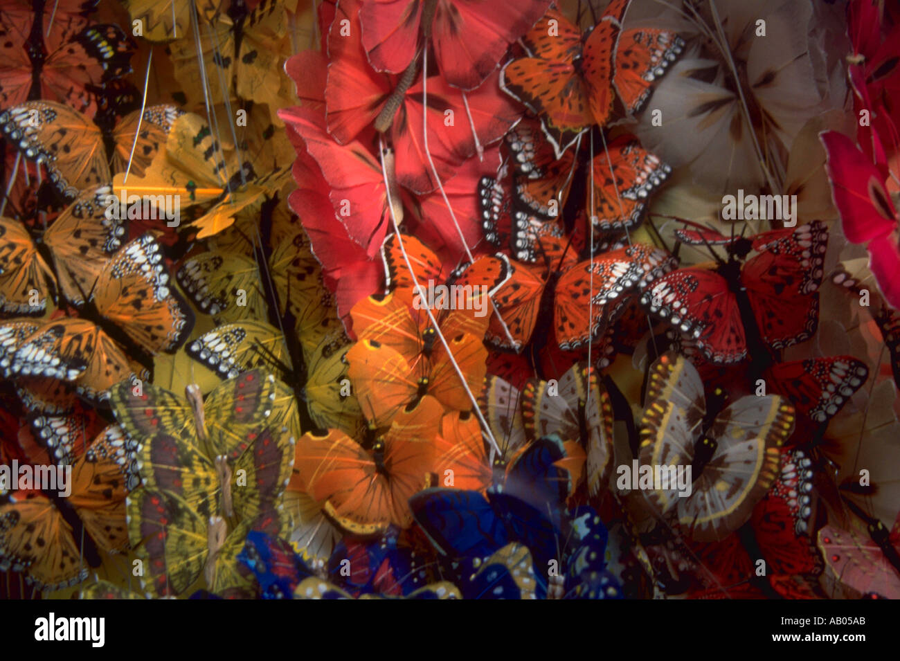 Papillons colorés dans une boutique sur la Rue de Paris France Montogrueil Banque D'Images