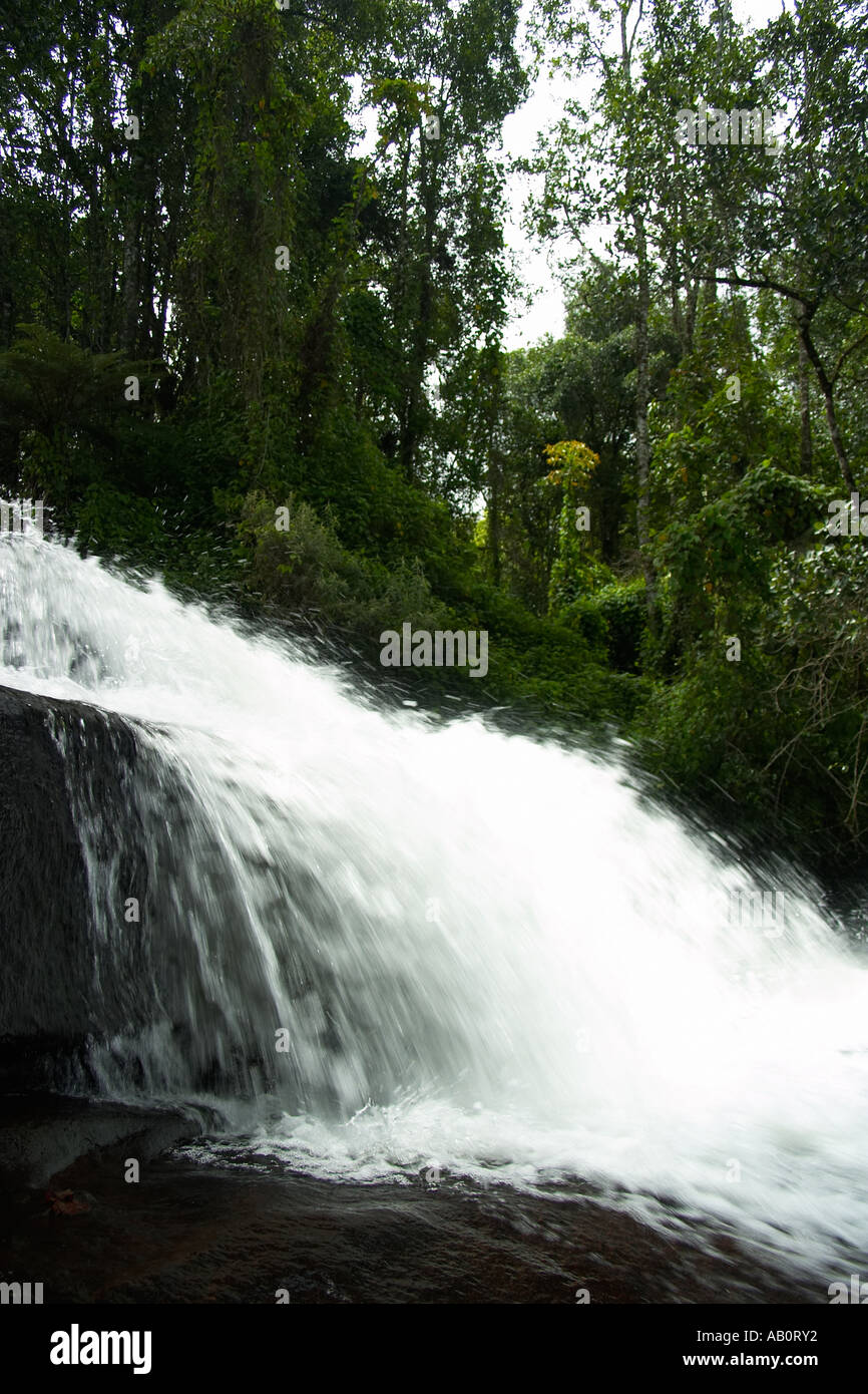 Chutes d'eau sur le plateau de Zomba, Malawi Banque D'Images