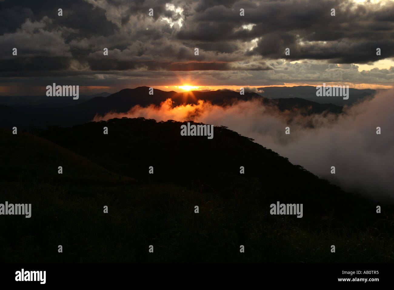 Coucher de Nyika Plateau, Malawi, Afrique Banque D'Images