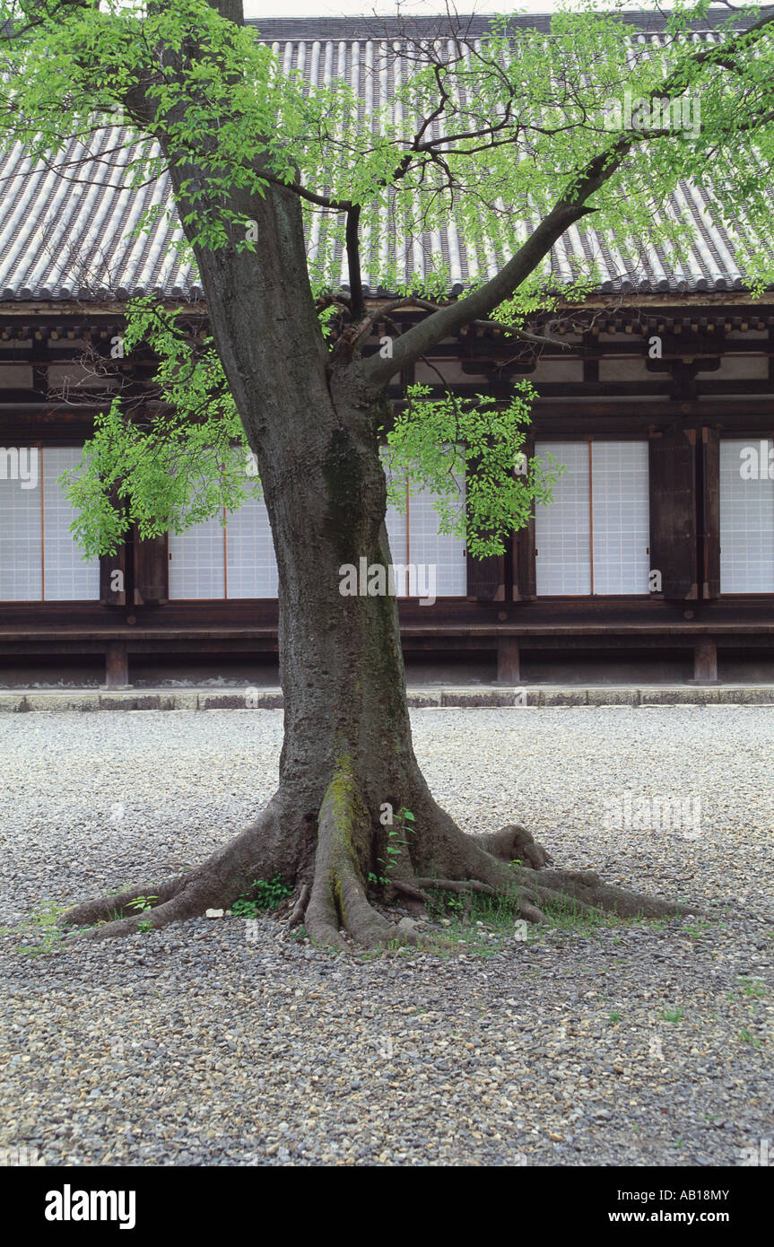 Temple Sanjusangen do préfecture de Kyoto au Japon Banque D'Images
