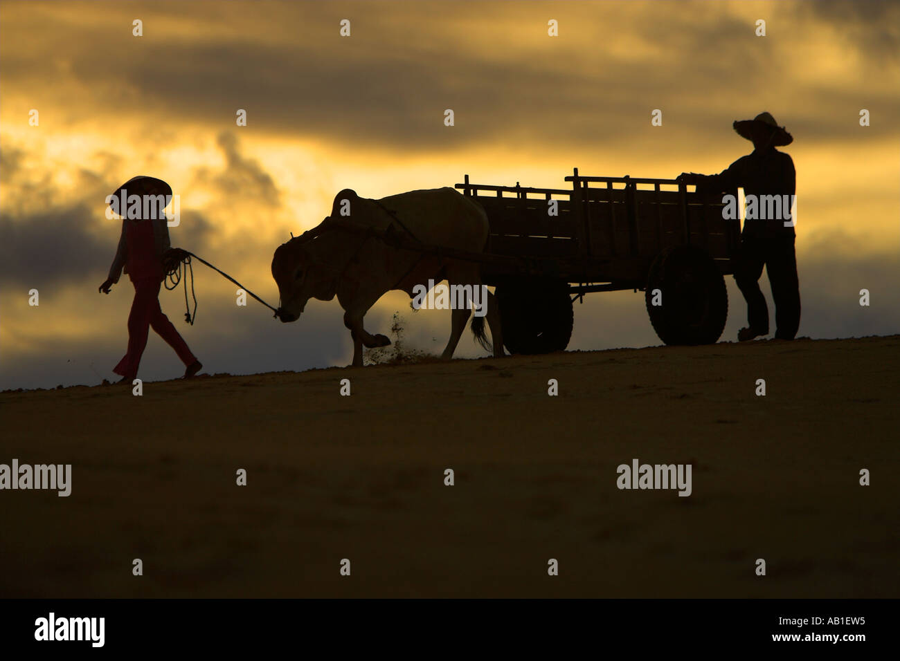 Fille en chapeau conique conduit charrette avec l'homme au chapeau de paille après l'ensemble de dunes de sable blanc près de Mui Ne Vietnam du sud-est Banque D'Images