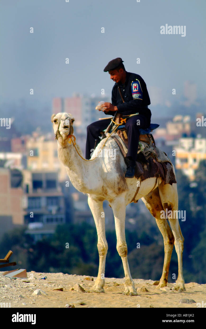 Police touristique à Gizeh, pyramides,Ciro,ÉGYPTE. Banque D'Images