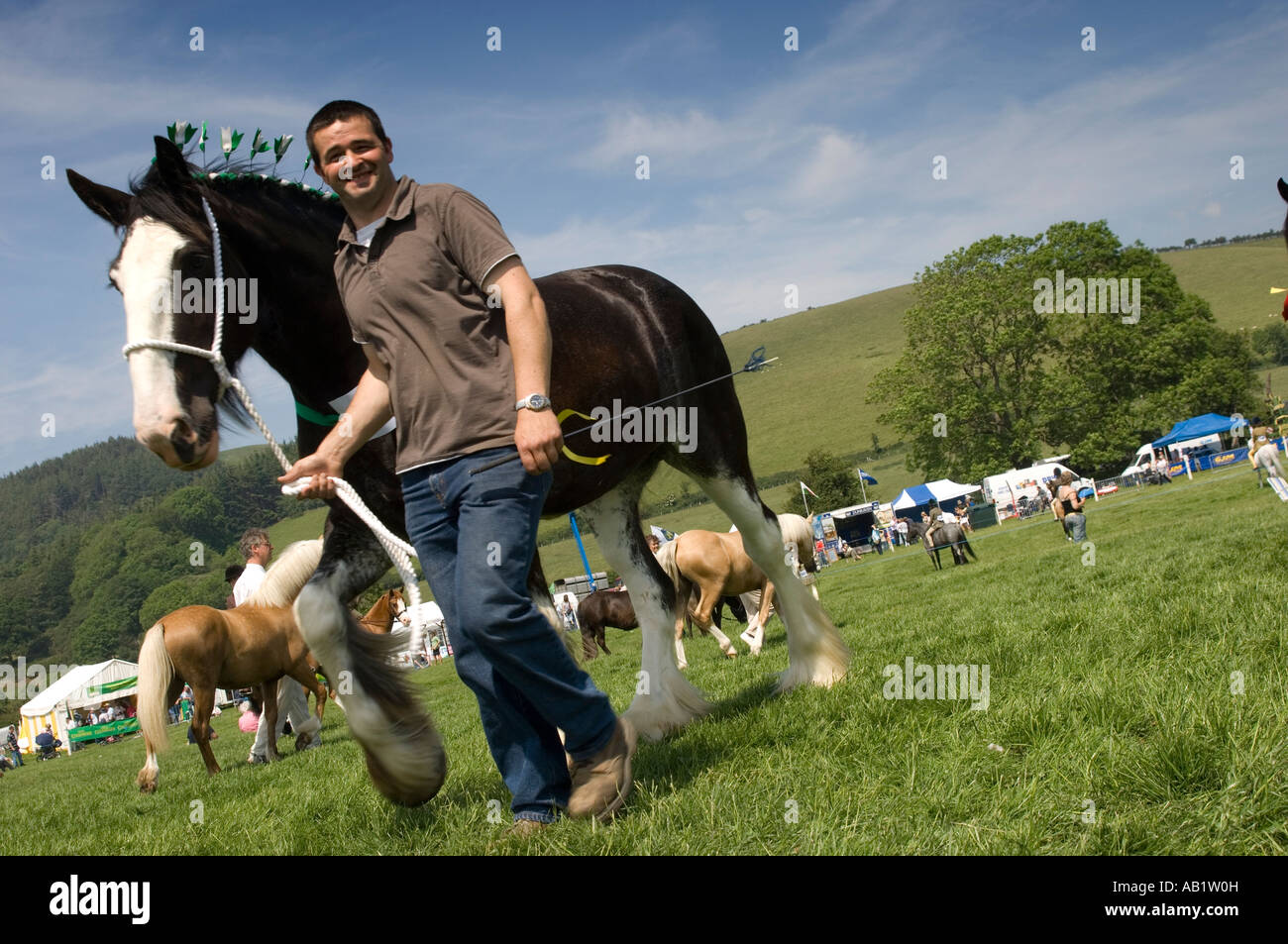 Salon de l'Agriculture d'Aberystwyth concurrentes Chevaux 9 Juin 2007 - l'homme menant son cheval dans l'arène ; Pays de Galles UK Banque D'Images
