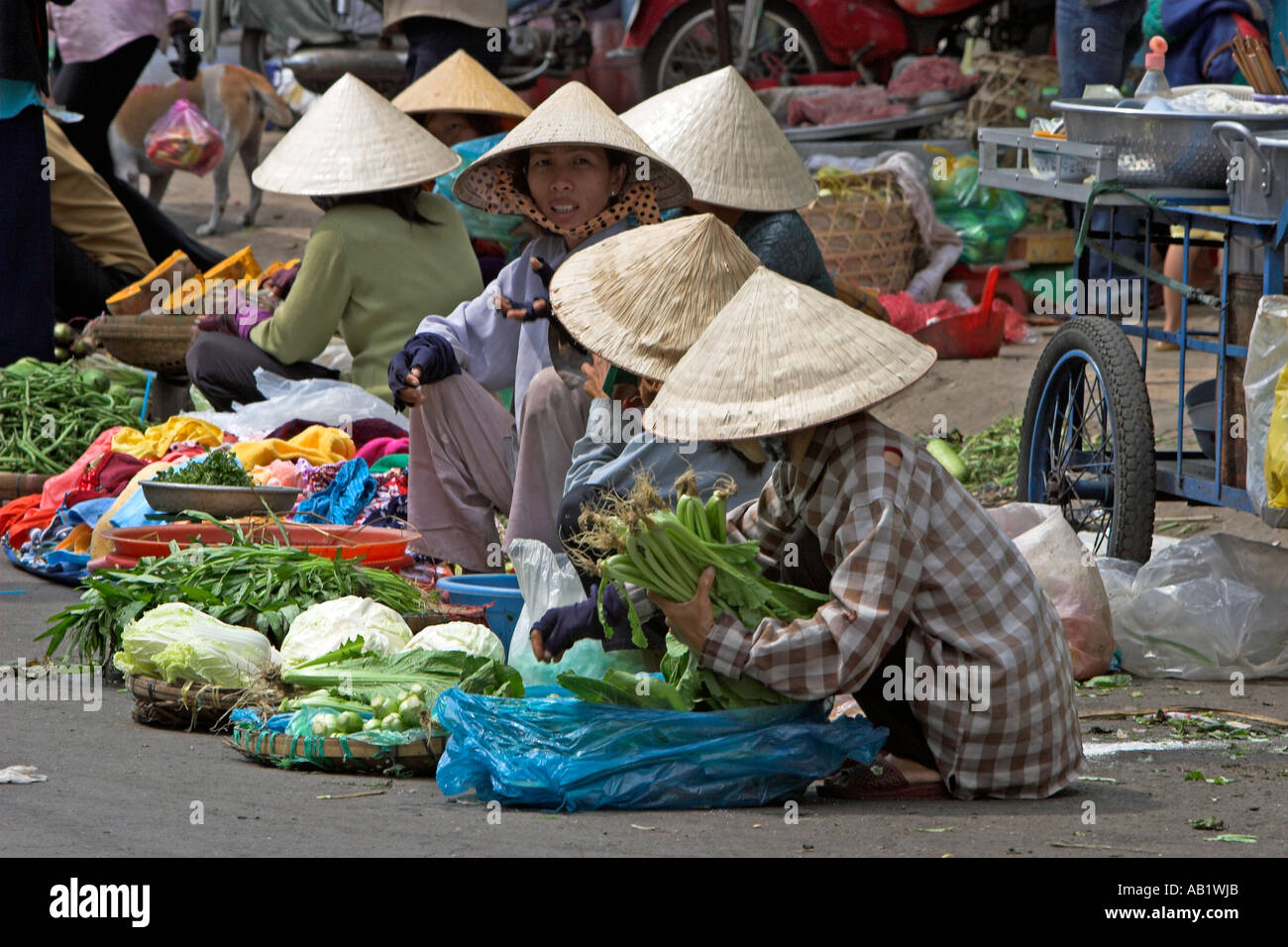 Les femmes dans la vente de légumes, chapeaux coniques, rue de Cholon, le marché Binh Tay Ho Chi Minh City Vietnam Banque D'Images