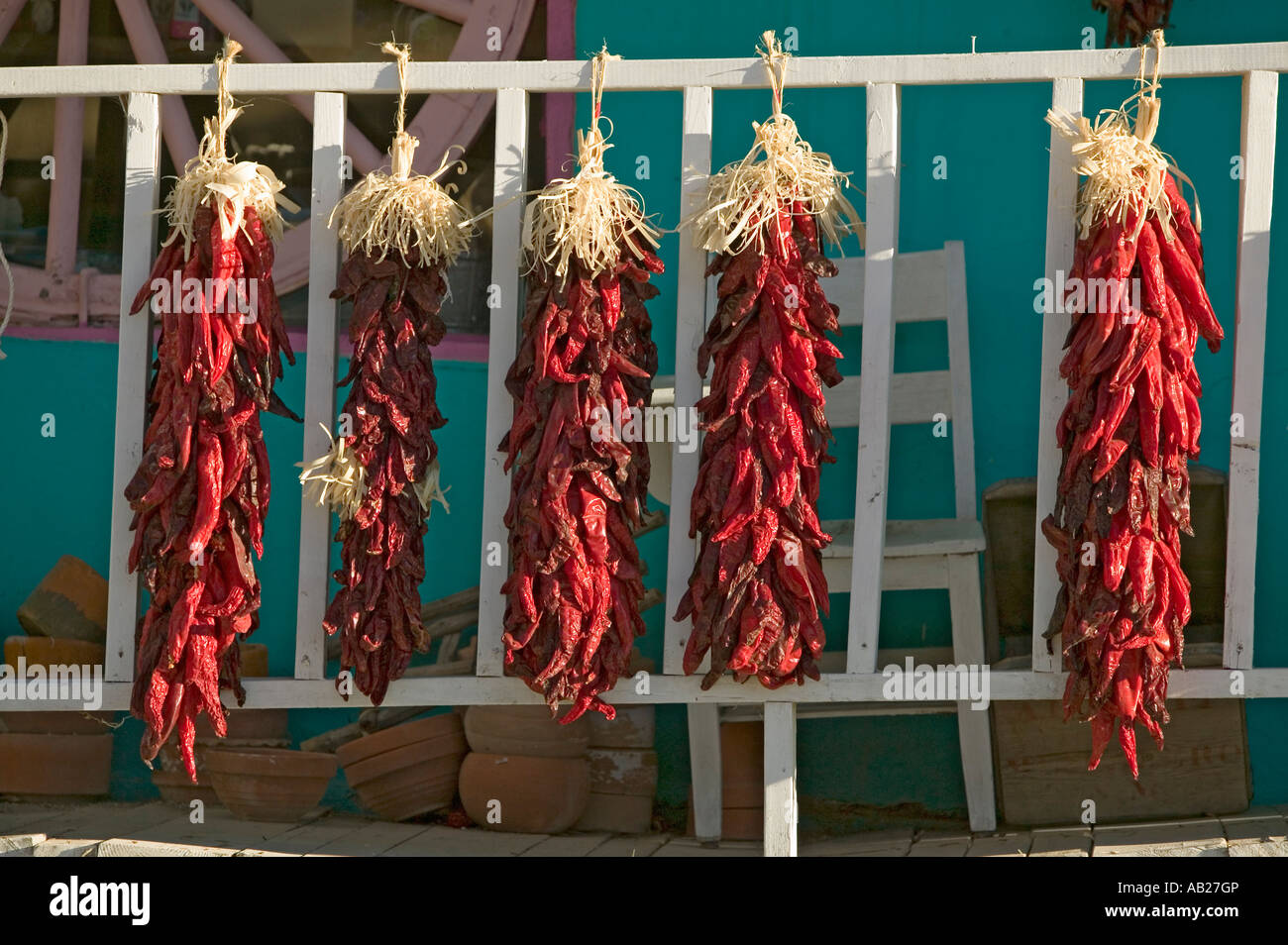 Chili Peppers sur apache Mescalero Indian Reservation près de Ruidoso Alto et Nouveau Mexique Banque D'Images