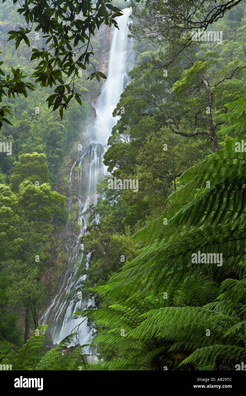 Montezuma Falls une cascade de forêt pluviale tempérée nr Rosebery Région de l'ouest de la Tasmanie en Australie Banque D'Images