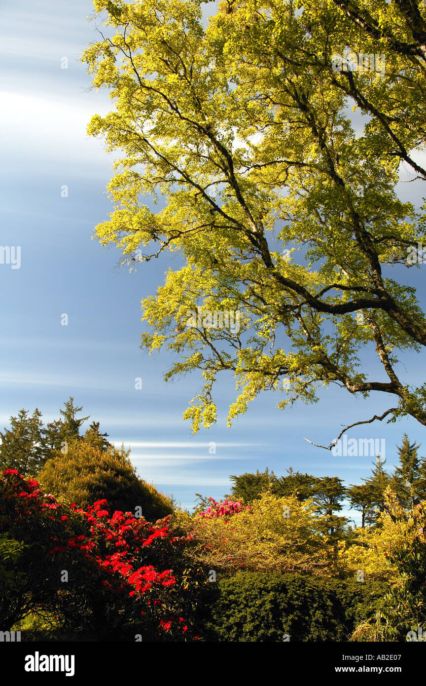 Jardins de Shore Acres State Park Cape Arago Oregon Banque D'Images