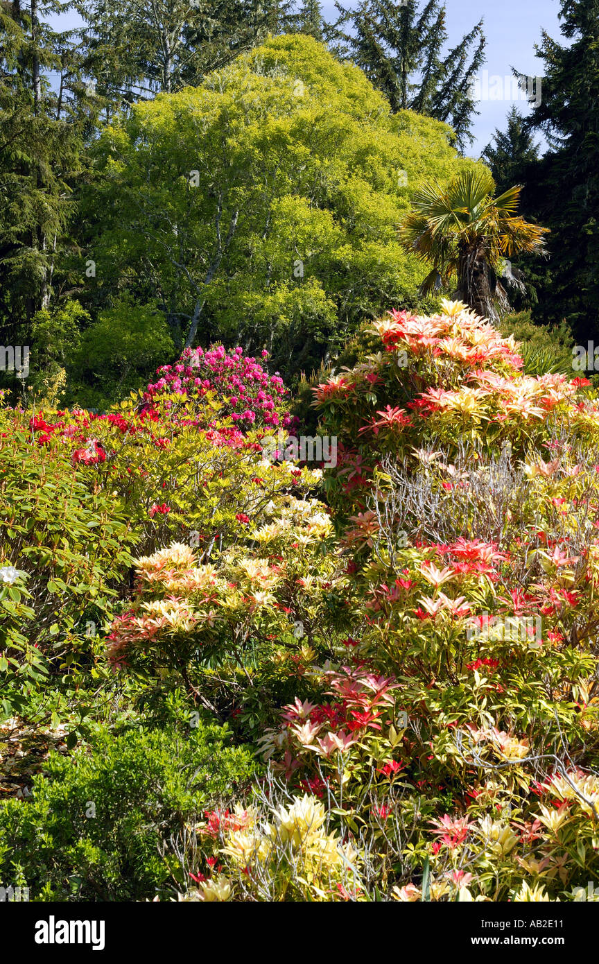Jardins de Shore Acres State Park Cape Arago Oregon Banque D'Images