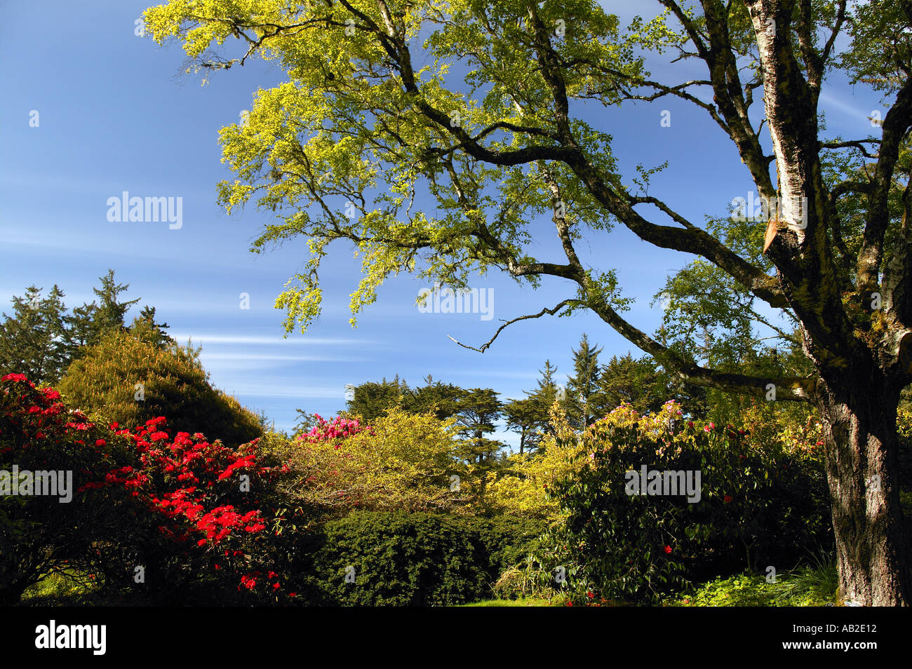 Jardins de Shore Acres State Park Cape Arago Oregon Banque D'Images