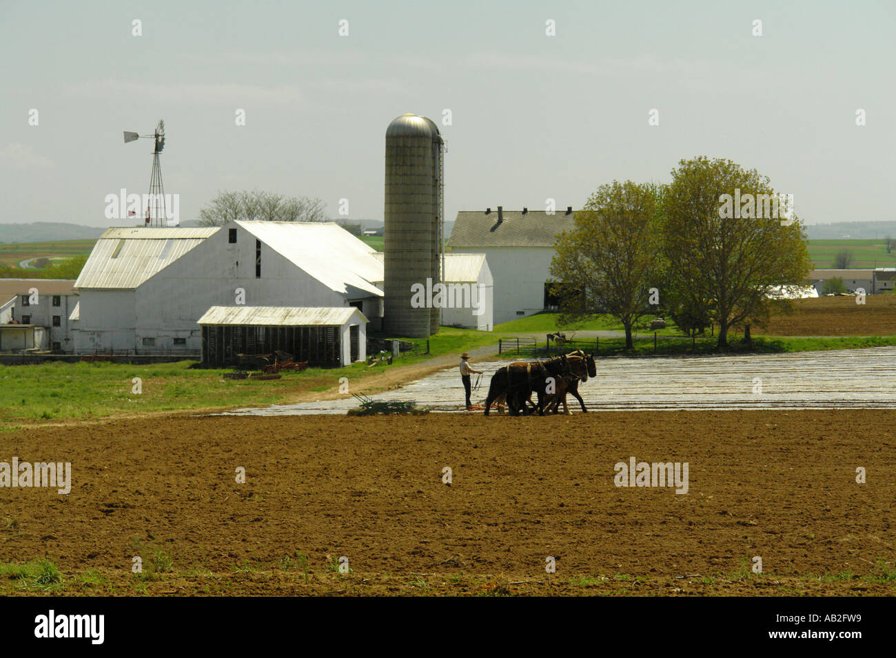 AJD49403, comté de Lancaster, PA Banque D'Images