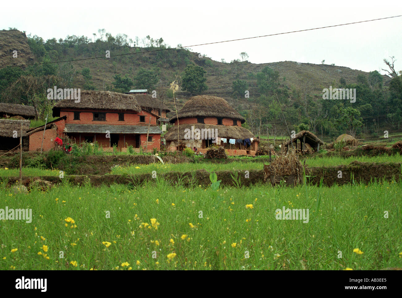 Népal 1994 UNE PETITE FERME est nichée dans les contreforts de l'himalaya Banque D'Images