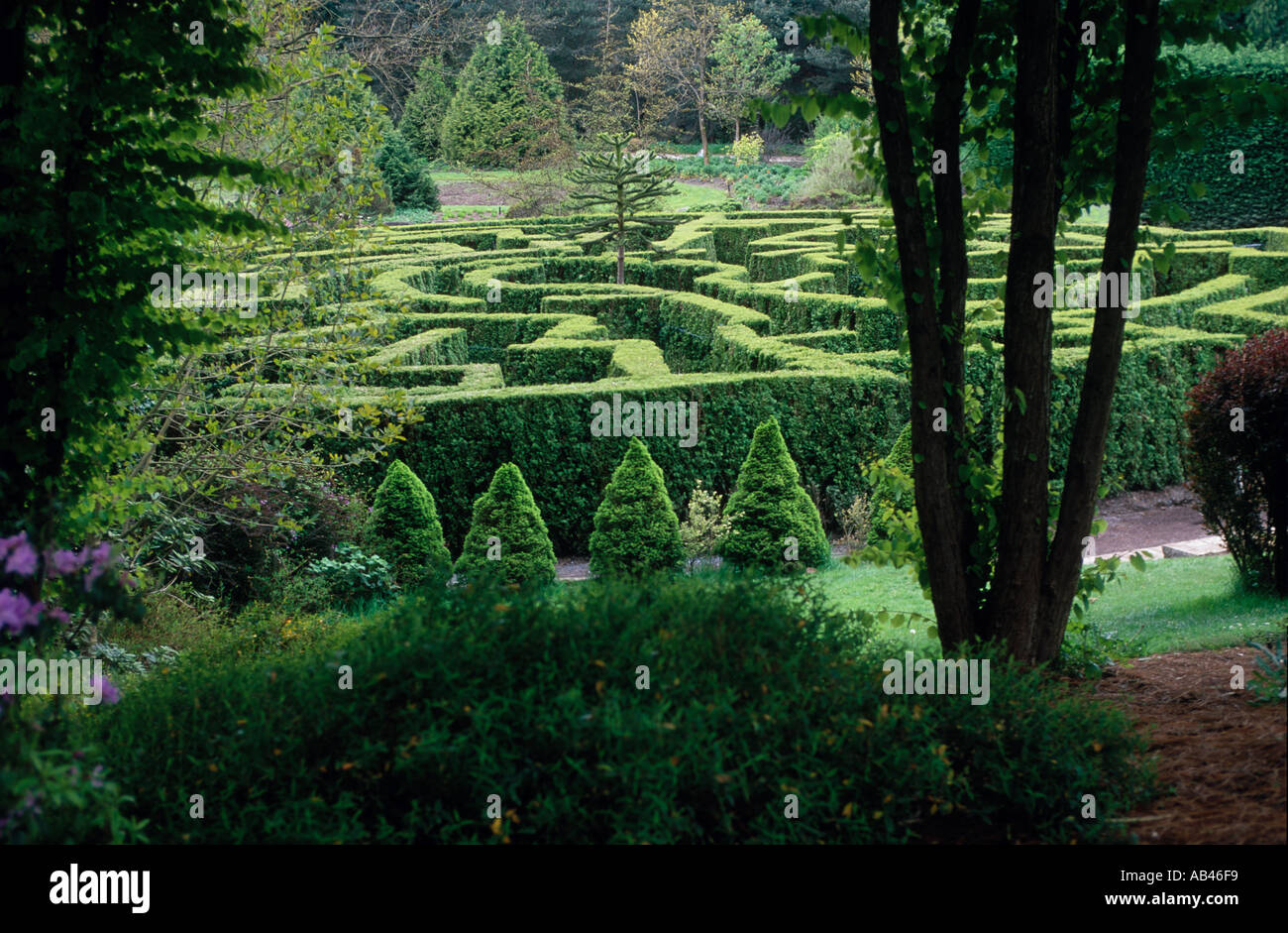En labyrinthe Vandusen gardens Vancouver BC British Columbia Canada Banque D'Images