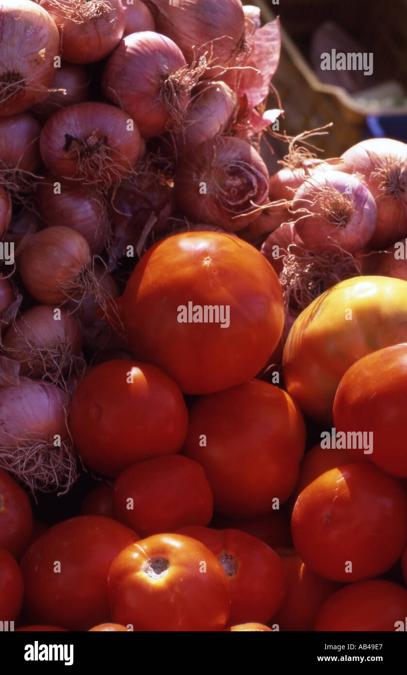 Les oignons et les tomates Banque D'Images