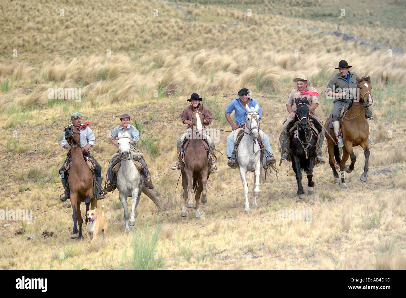 En galopant Gauchos une ligne sur l'herbe de la pampa sur leurs chevaux s'amusant. Banque D'Images