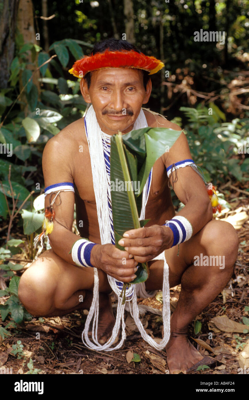 Les Indiens Piaroa chaman avec plantes médicinales recueillies à partir de la jungle village d'Aska aja près de Puerto Ayacucho Venezuela Banque D'Images