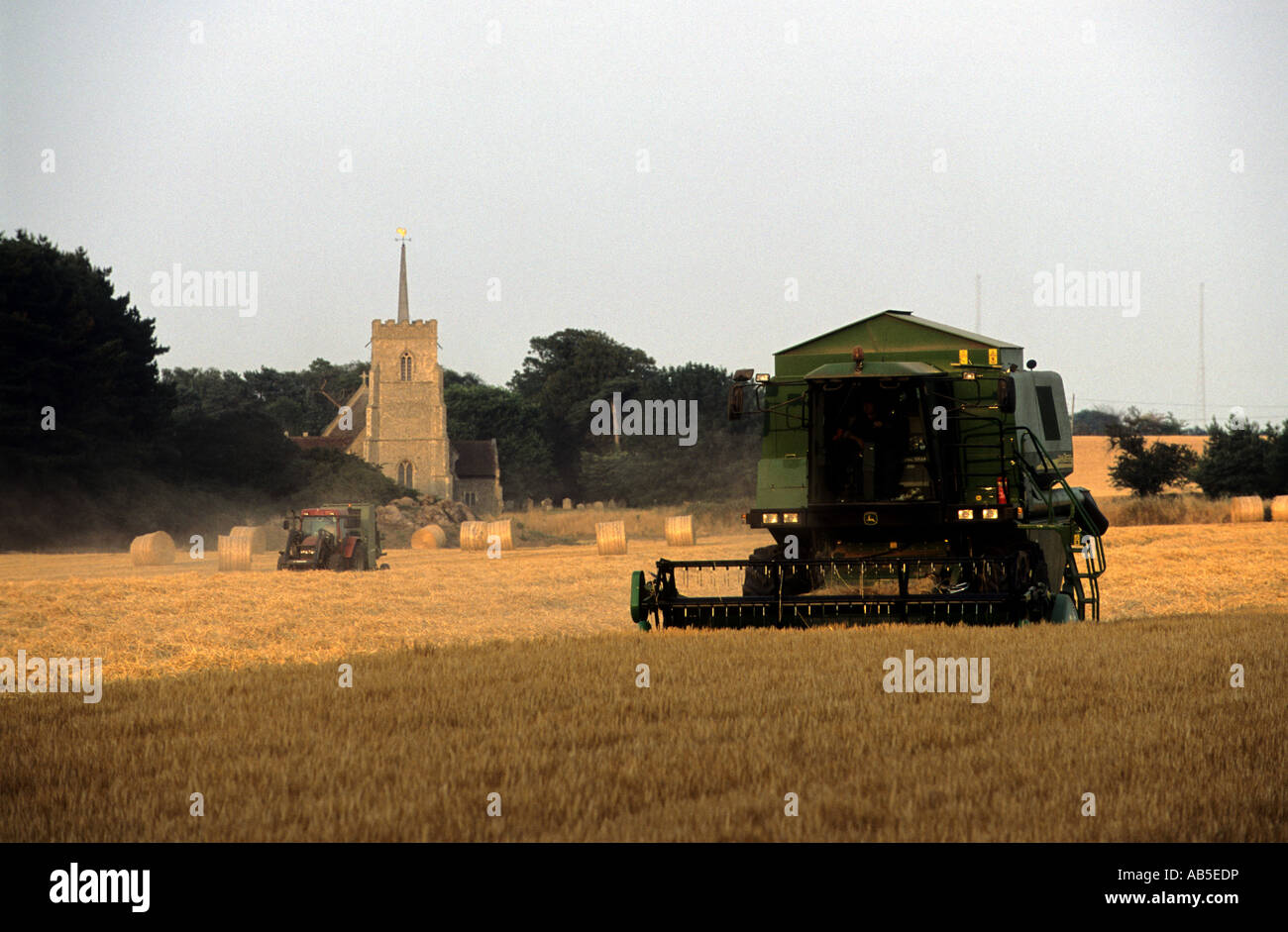 De coupe de moissonneuse-batteuse de blé sur une ferme de l'Orford, près de Woodbridge, Suffolk, UK. Banque D'Images