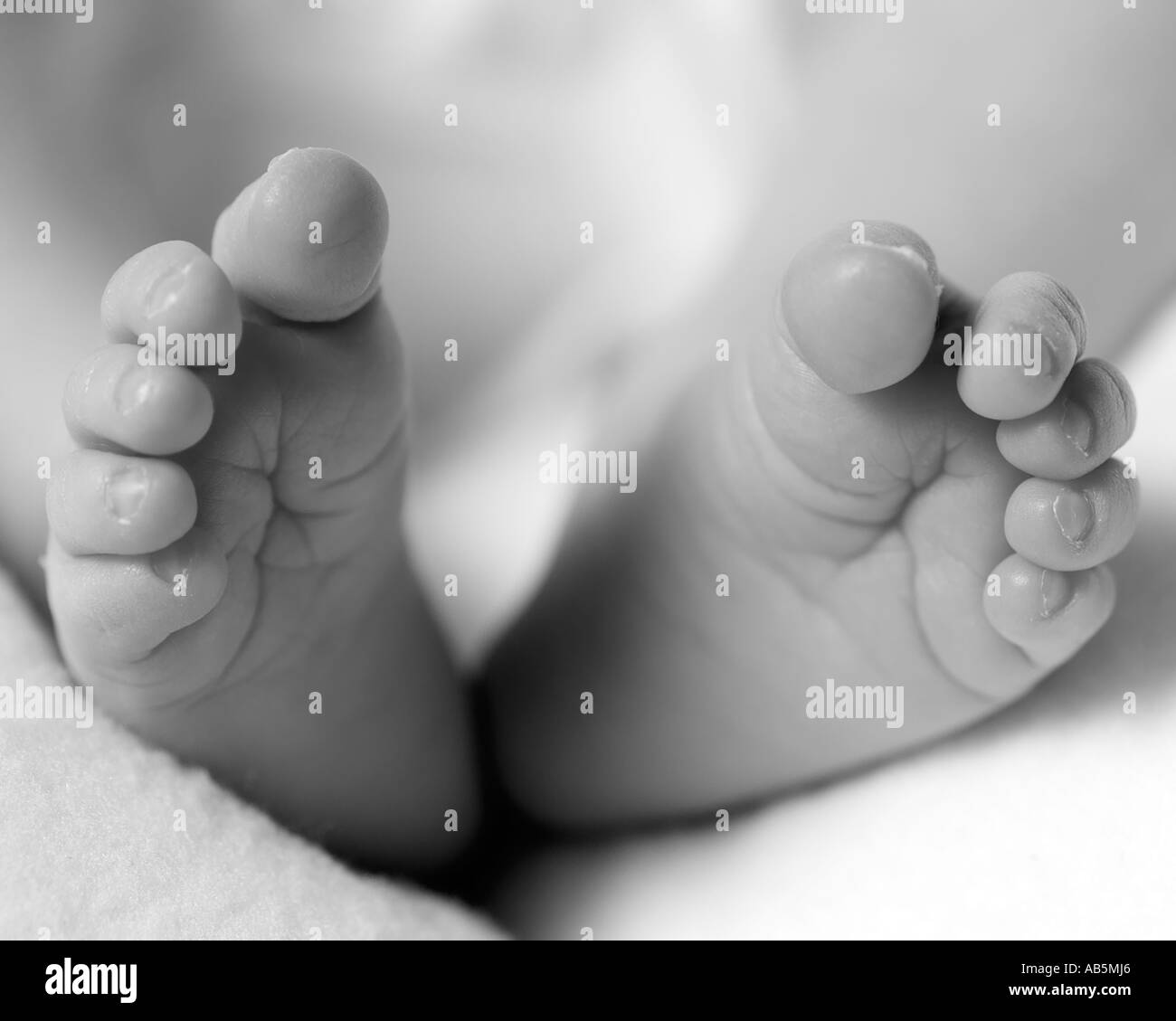 babys pieds Banque D'Images