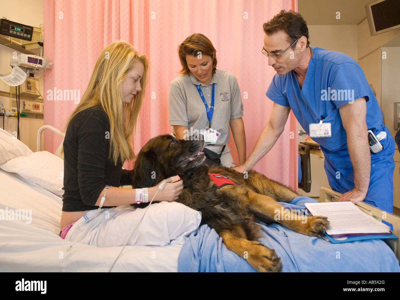 Une jeune fille de 15 ans un patient d'un hôpital pour enfants joue avec un chien de thérapie spécialement formés Banque D'Images