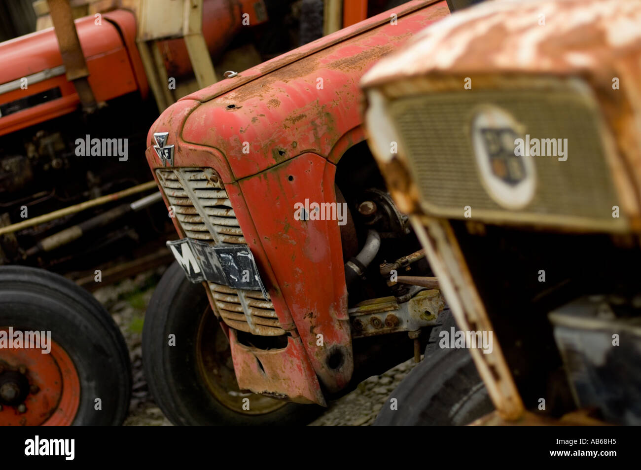 Vieux tracteurs rouillés alignés dans un garage de l'ouest du pays de Galles Ceredigion Aberystwyth Llanfarian Banque D'Images
