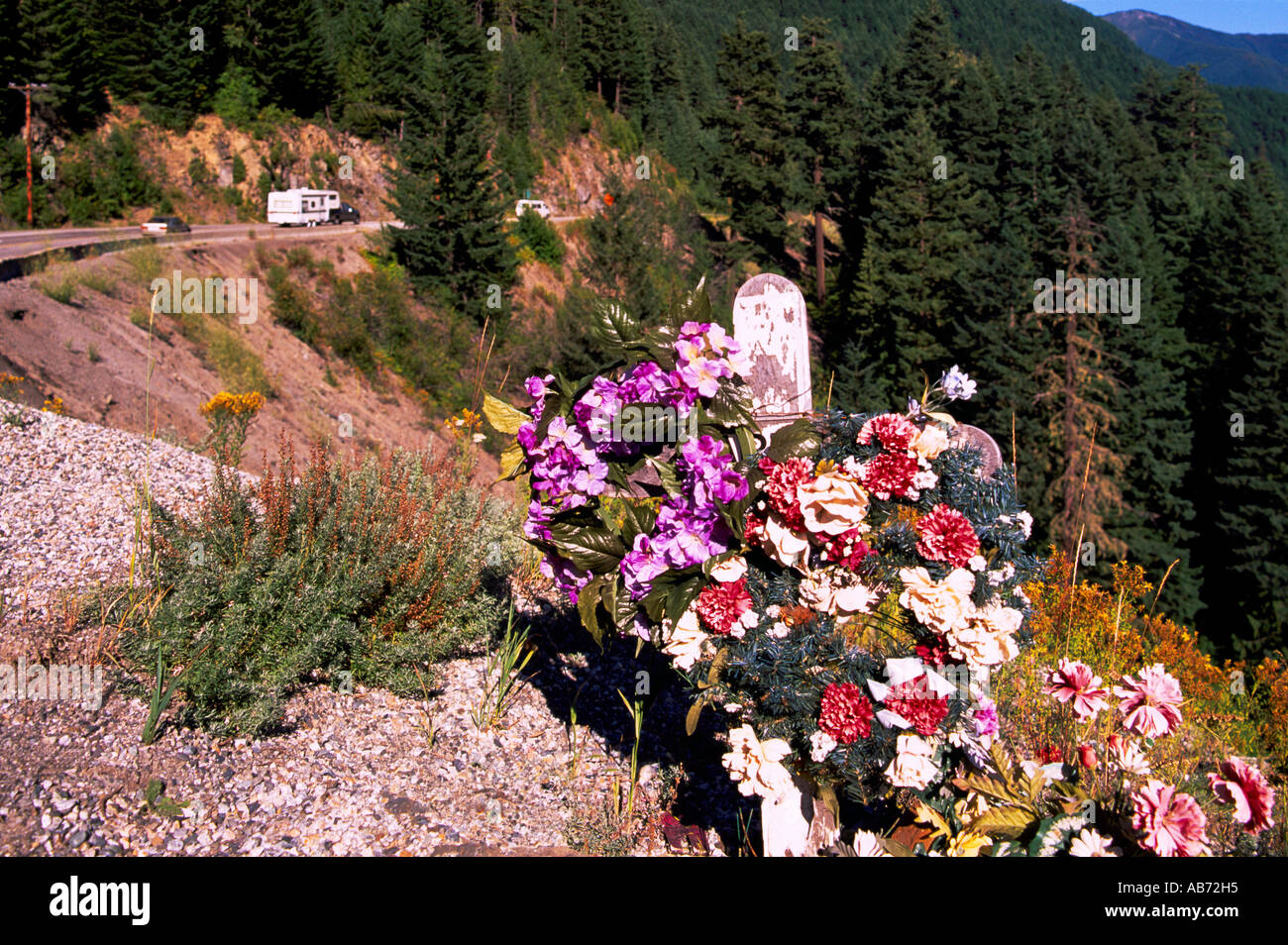 Sanctuaire de Memorial en bordure de fleurs pour victime tuée dans un accident de voiture mortel, Manning Provincial Park, British Columbia, Canada Banque D'Images