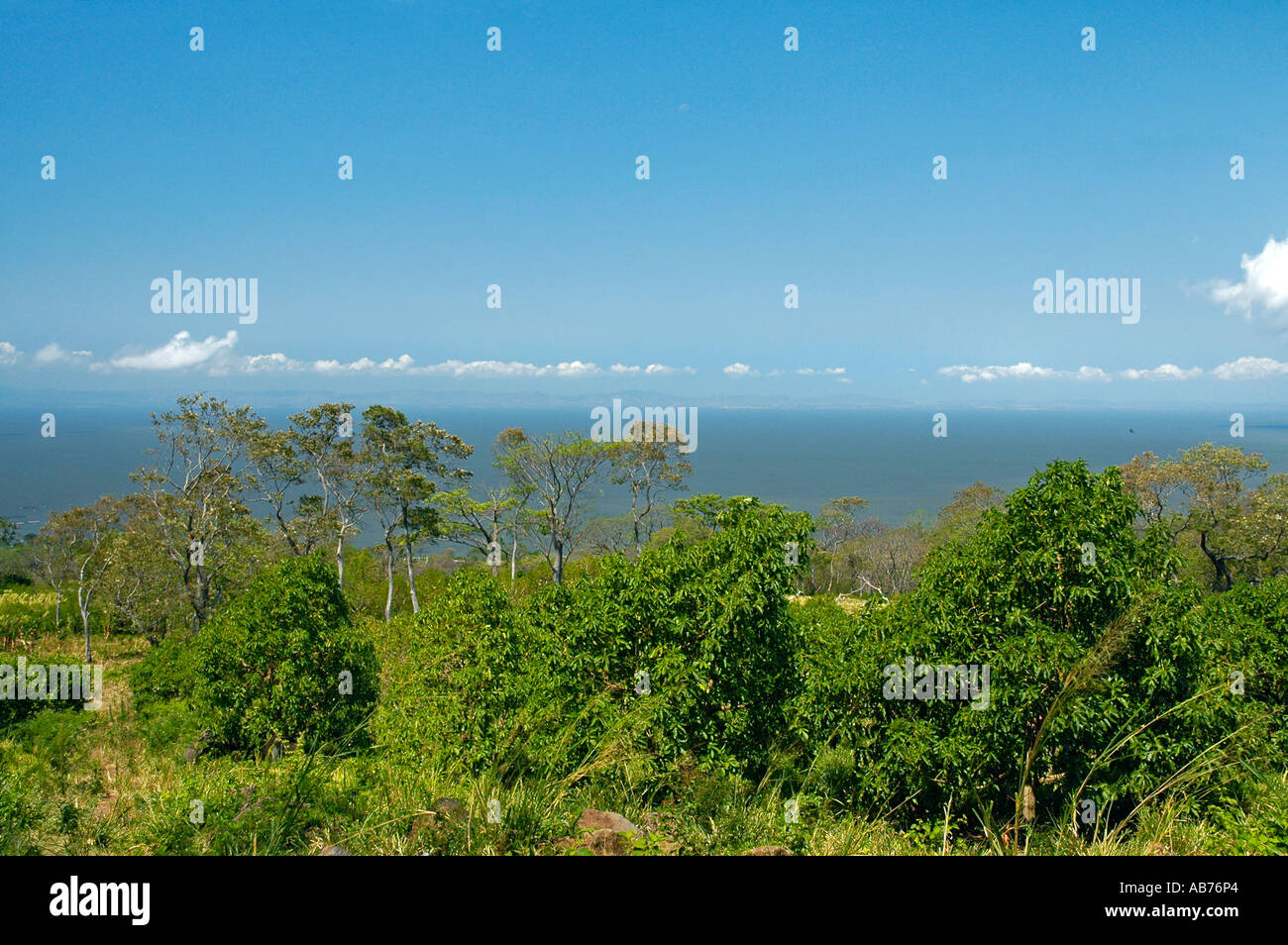 Vue sur le Lac de Nicaragua, l'île Ometepe, Nicaragua, Amérique Centrale Banque D'Images