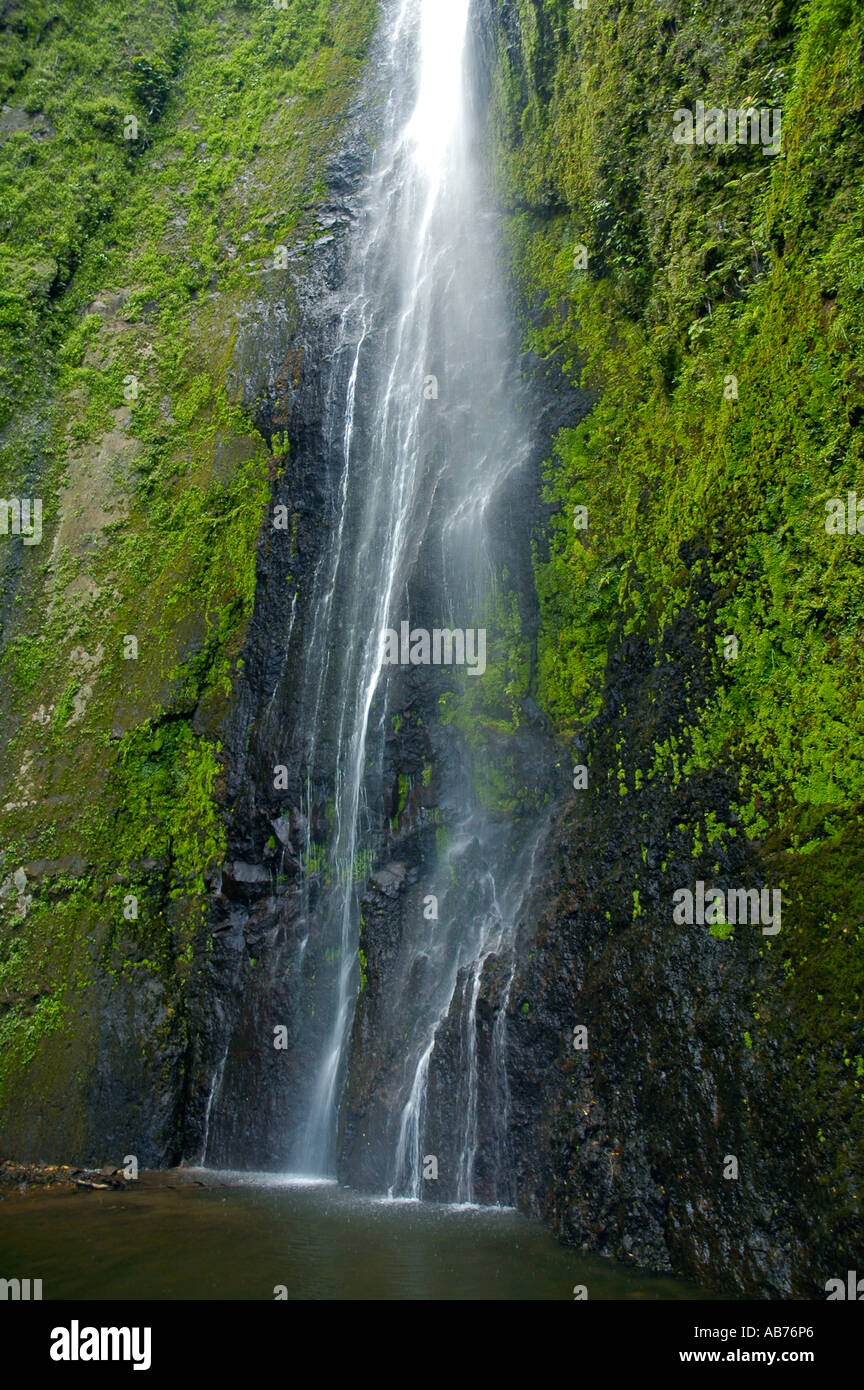 La cascade de San Ramon, Maderas, volcan de l'île Ometepe, Nicaragua, Amérique Centrale Banque D'Images