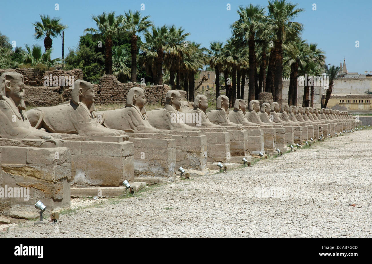 Avenue de sphinx tête Ram Luxor Egypte 1 Banque D'Images