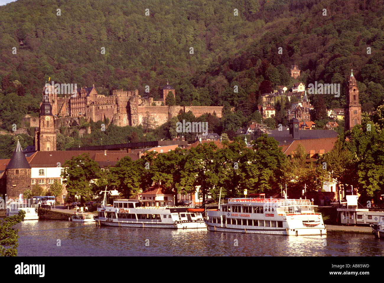 Schloss Heidelberg Neckar ville historique château de pont pont de Wurtemberg neckar, chevaliers, château, fort, str Banque D'Images