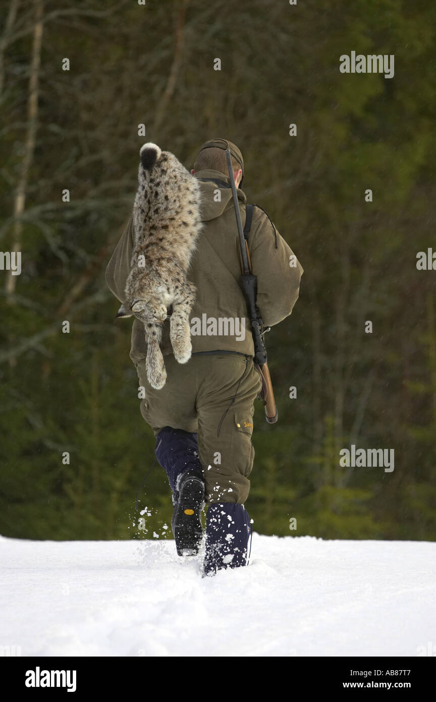 Le lynx (Lynx lynx lynx), le lynx morts est porté par un chasseur, la Norvège, Nord-Trondelag Banque D'Images