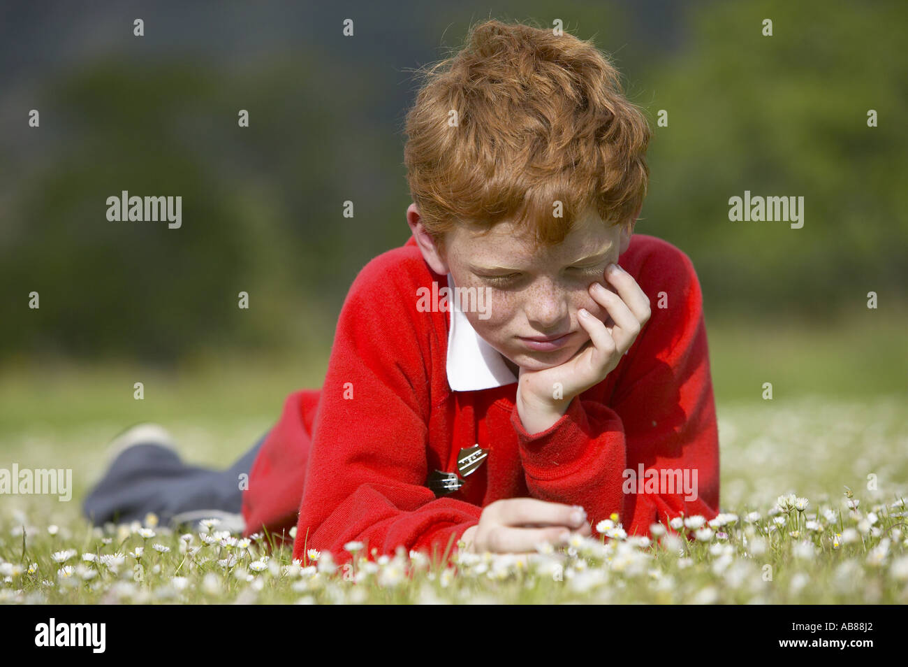 Garçon aux cheveux rouge se trouve sur meadow picking daisies, Royaume-Uni, Ecosse Banque D'Images