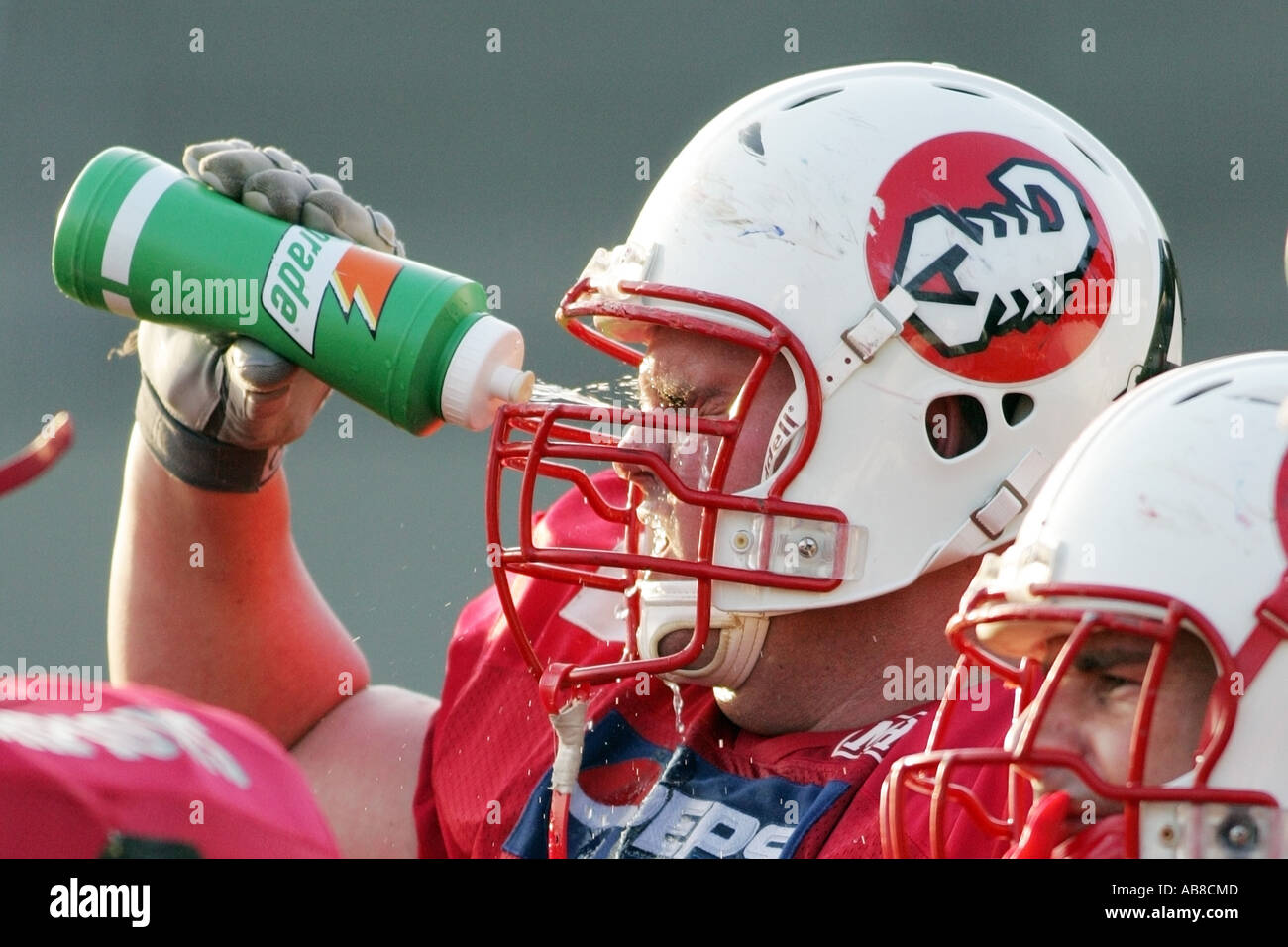 Le Sorpion Stuttgart player actualise lui-même avec de l'eau d'une bouteille, 1re Division sud GFL Bundesliga, Allemagne, Baden-Wuertt Banque D'Images