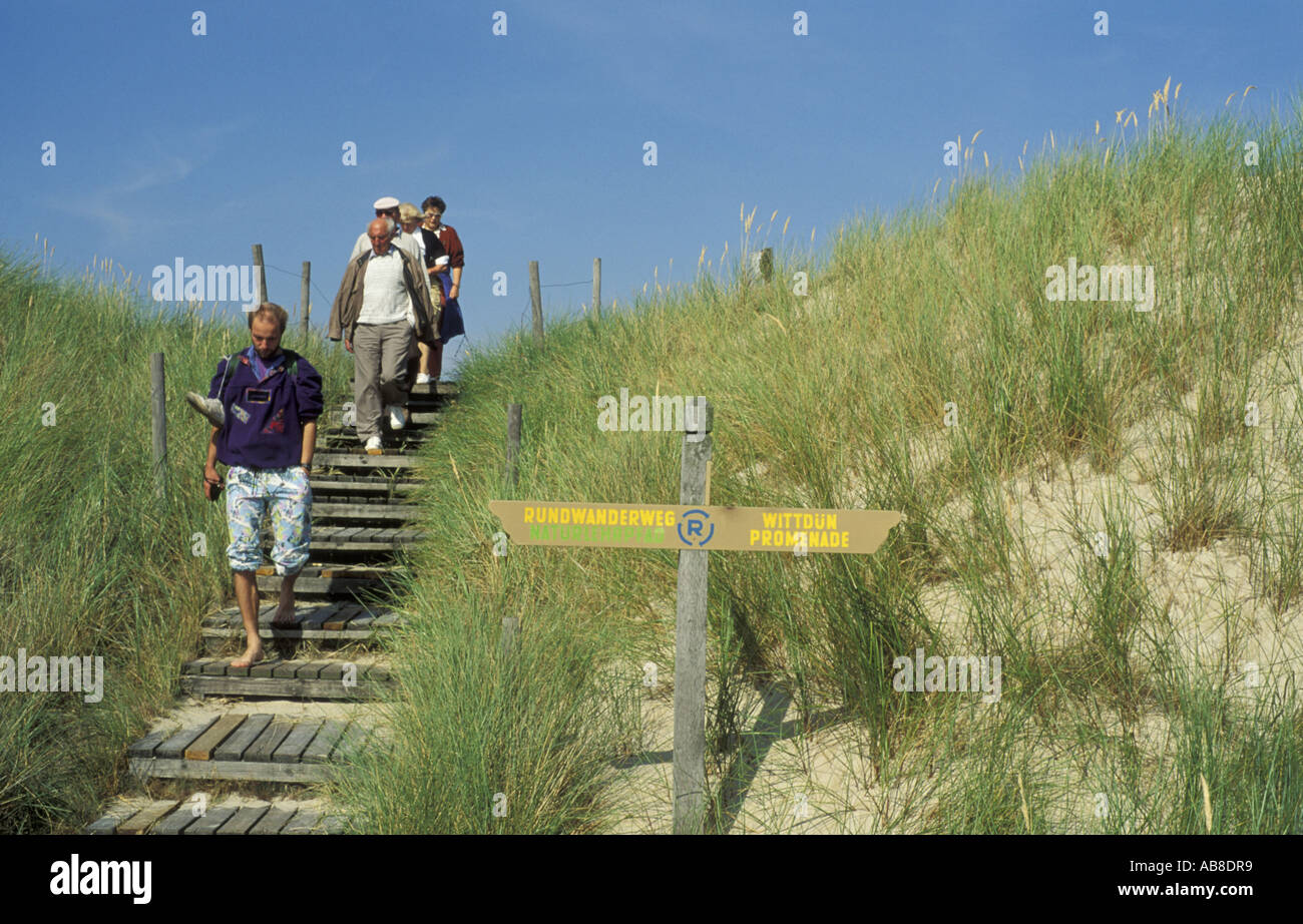 Chemin de randonnée dans les dunes d'Amrum, Allemagne, Amrum Banque D'Images Chemin de randonnée dans les dunes d'Amrum, Allemagne, Amrum Banque D'Images