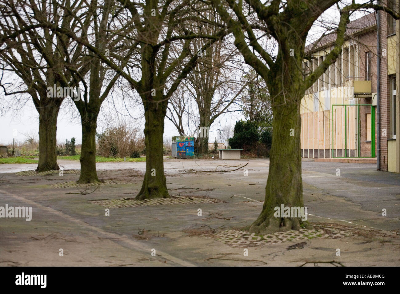 Les arbres dans la cour de l'école Otzenrath Allemagne Banque D'Images