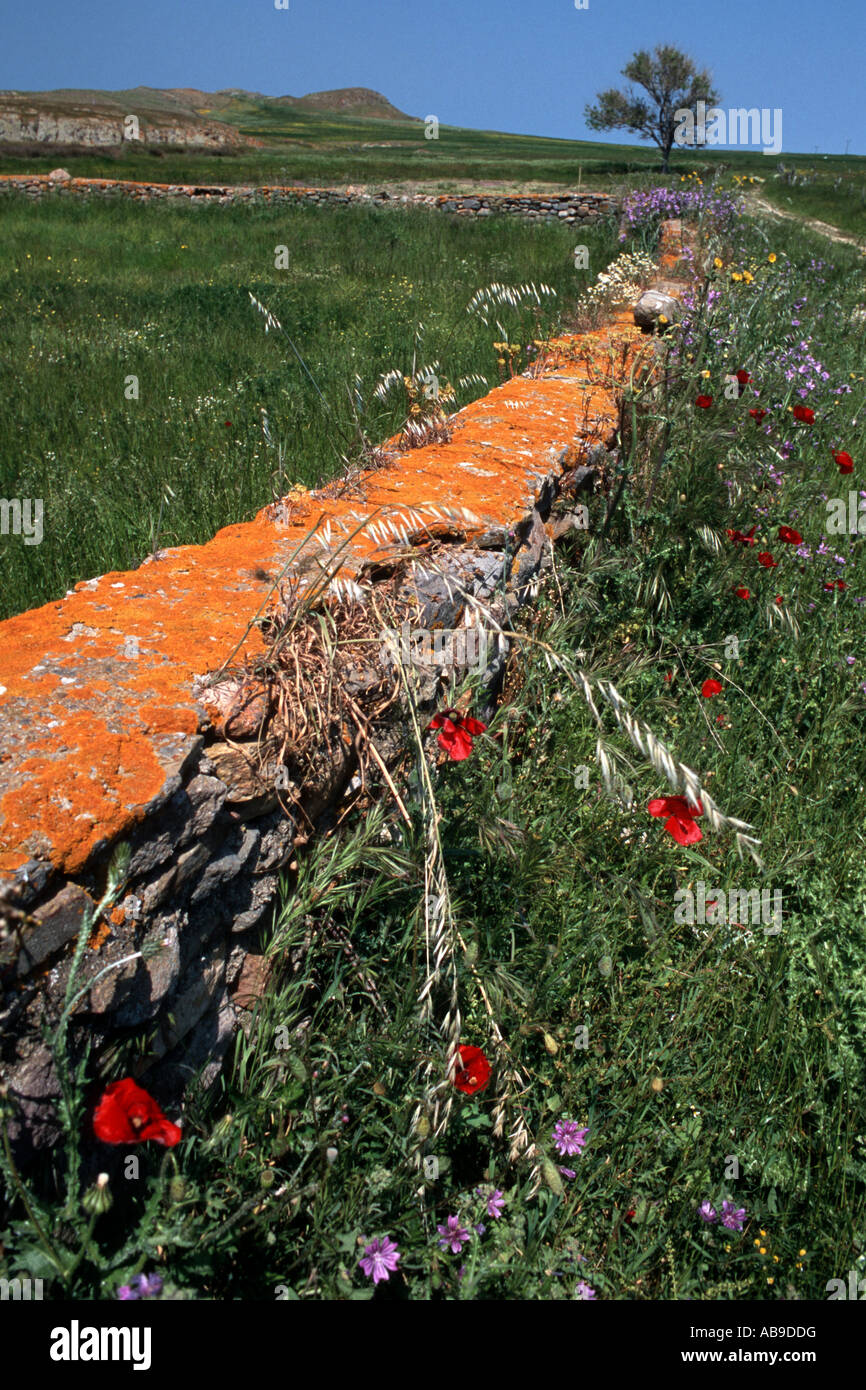 Mur de pierre traditionnel grec sur Limnos, Grèce Banque D'Images