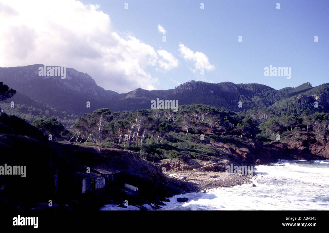 1996 MALLORCA Le robuste de Tramuntana et couverte d'arbres sur la côte nord de l'île espagnole de Majorque Banque D'Images