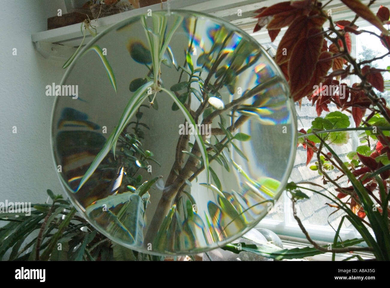 Kettles Yard Cambridge Cambridgeshire Angleterre Royaume-Uni 2007 2000s HOMER SYKES Banque D'Images