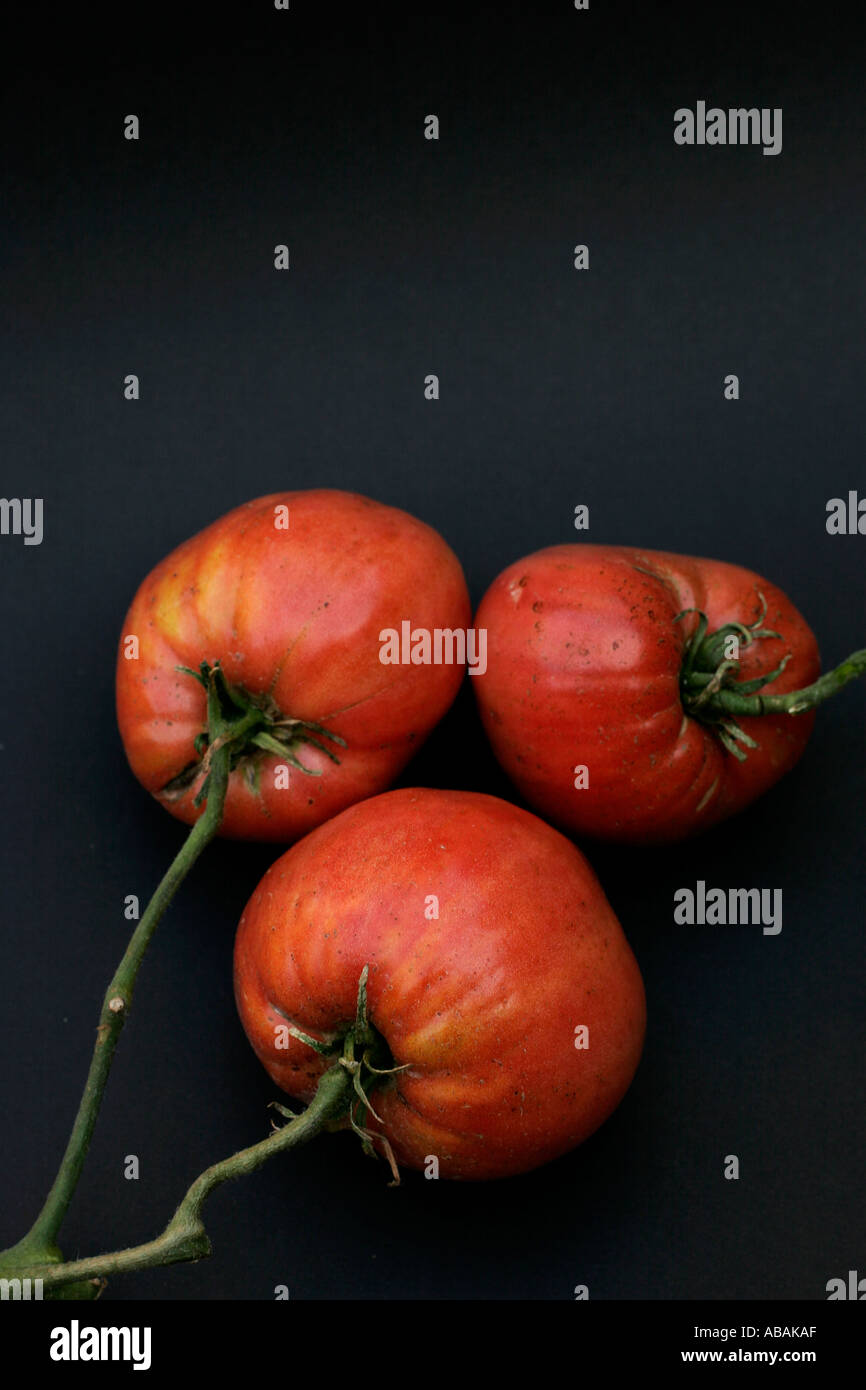 Un gros plan d'un beau rouge sang grande maturité élevage naturellement les tomates biologiques avec des imperfections Banque D'Images
