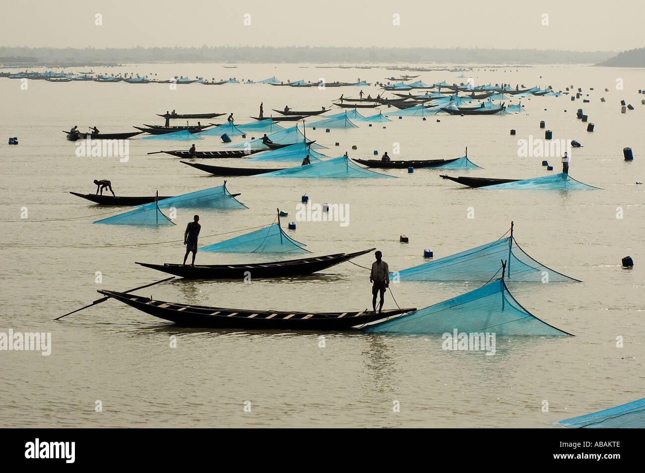 Bateaux de pêche mis en place leurs larves de crevettes ( fry ) dans Shibsha , rivière filets Bangladesh . Banque D'Images