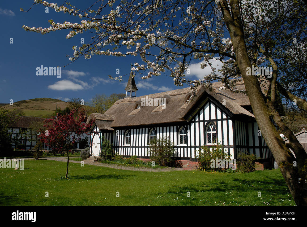 Peu de All Saints Church Stretton Shropshire England UK au printemps avec blossom Banque D'Images
