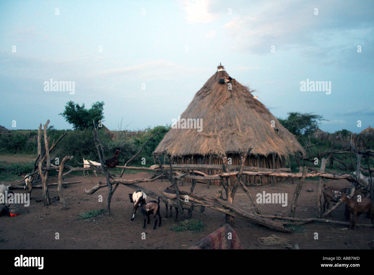 Village de la tribu Hamer et hut, vallée de l'Omo, Ethiopie Banque D'Images