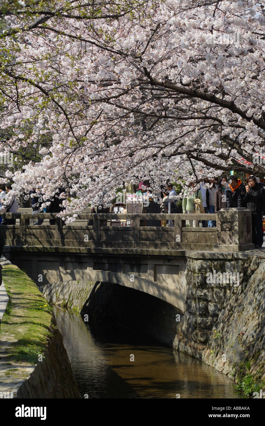 Un pont en pierre et fleurs de cerisier sur la Promenade du Philosophe, Kyoto, Japon Banque D'Images